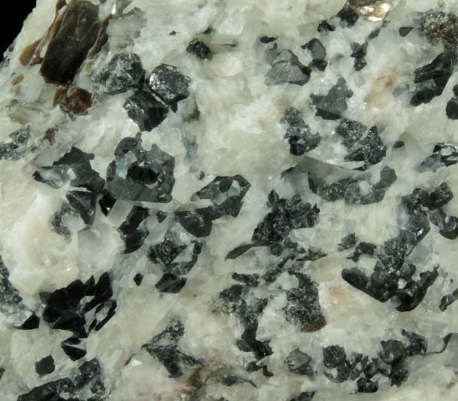 Spinel and Phlogopite in Franklin Marble from Lime Crest Quarry (Limecrest), Sussex Mills, 4.5 km northwest of Sparta, Sussex County, New Jersey