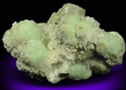 Prehnite, Calcite, Apophyllite, Datolite from Millington Quarry, Bernards Township, Somerset County, New Jersey