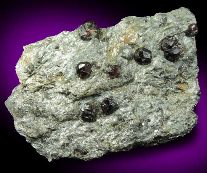 Almandine Garnet in schist from Pipeline excavation, south of Diamond Lake, Glastonbury, Hartford County, Connecticut