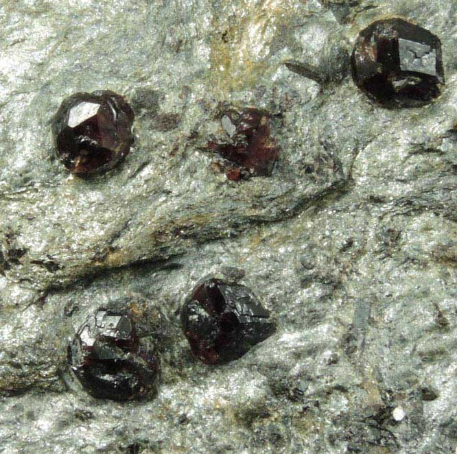 Almandine Garnet in schist from Pipeline excavation, south of Diamond Lake, Glastonbury, Hartford County, Connecticut