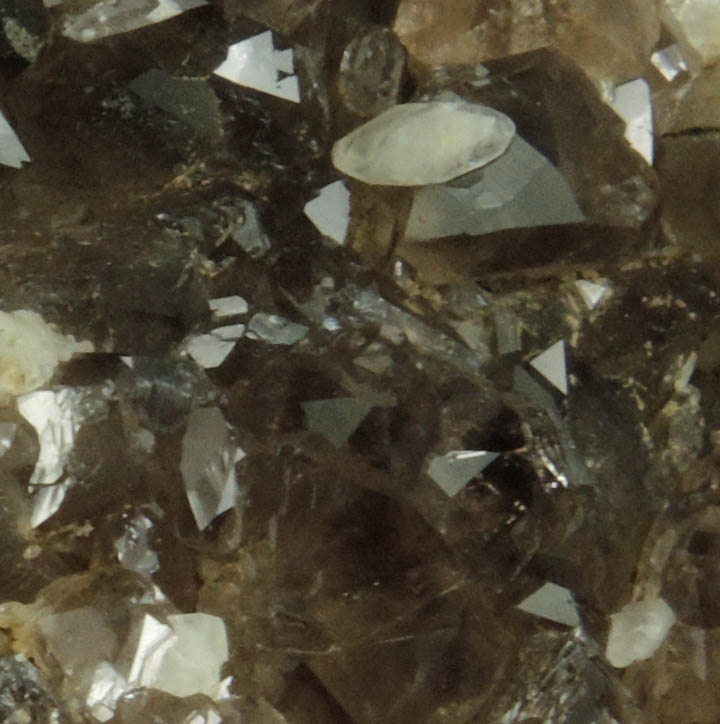 Calcite and Smoky Quartz from Millington Quarry, Bernards Township, Somerset County, New Jersey