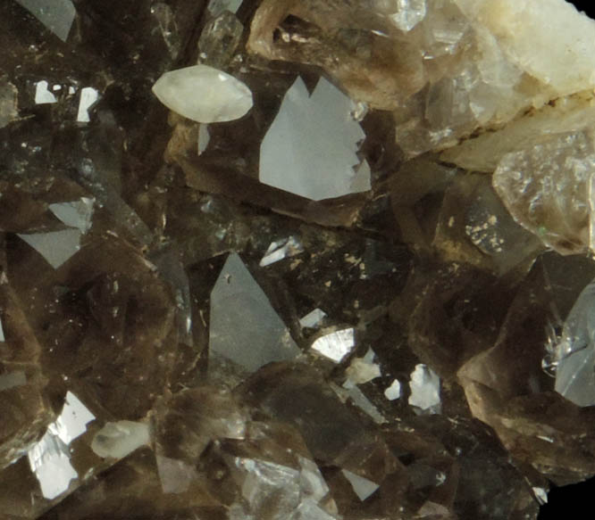 Calcite and Smoky Quartz from Millington Quarry, Bernards Township, Somerset County, New Jersey