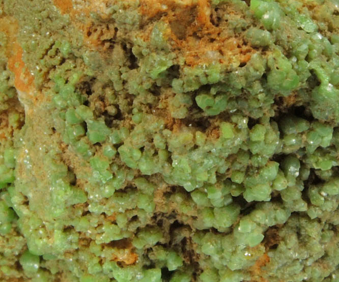 Pyromorphite from Driggith Mine, Caldbeck Fells, Cumbria, England