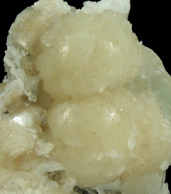 Stilbite with Pectolite from Millington Quarry, Bernards Township, Somerset County, New Jersey