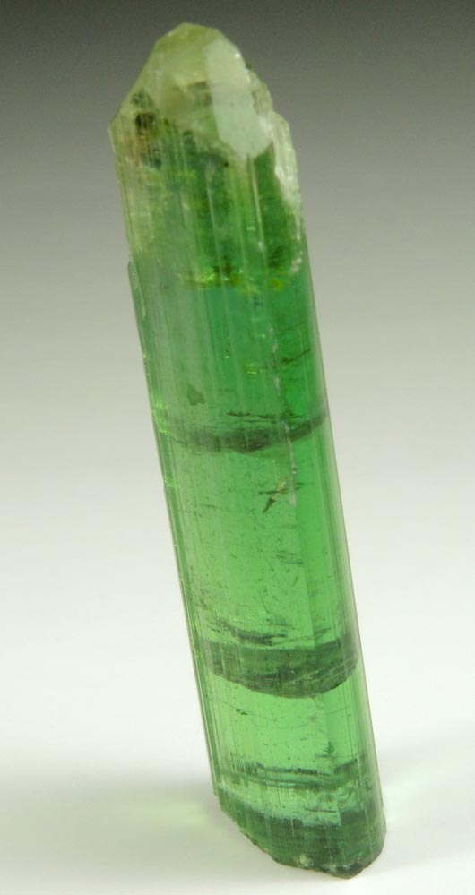 Elbaite Tourmaline from Havey Quarry, Friday 13th Pocket, Poland, Androscoggin County, Maine