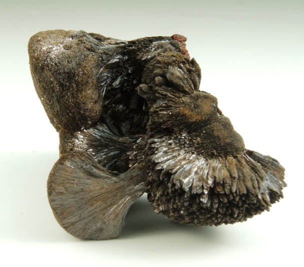 Goethite from Baptismal Pocket, Lake George, Park County, Colorado