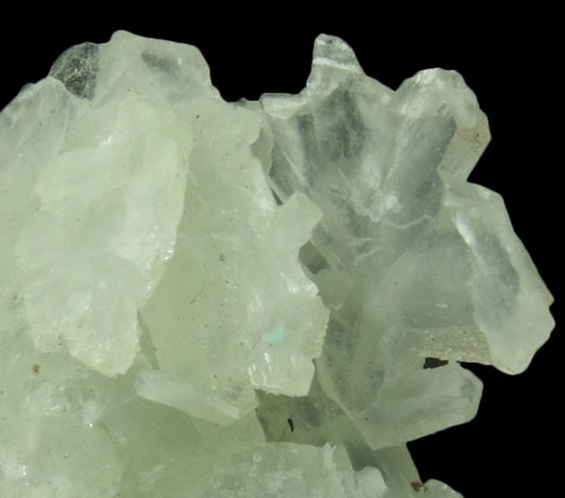 Prehnite from Millington Quarry, Bernards Township, Somerset County, New Jersey