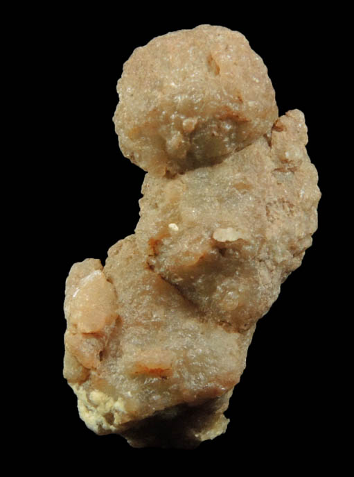 Jasper pseudomorphs after Barite from Yellow Cat Area, Grand County, Utah