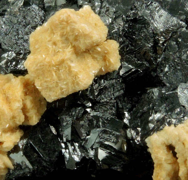 Siderite on Sphalerite var. Marmatite from Eagle Mine, Gilman District, Eagle County, Colorado