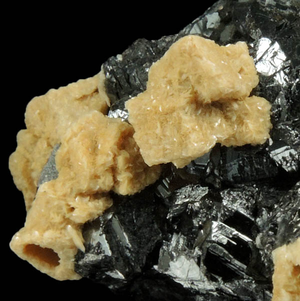 Siderite on Sphalerite var. Marmatite from Eagle Mine, Gilman District, Eagle County, Colorado