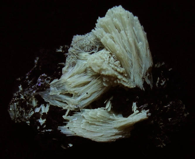 Photo below under shortwave ultraviolet illumination of Barite from Mina Ojuela, Mapimi, Durango, Mexico Barite from Mina Ojuela, Mapimi, Durango, Mexico