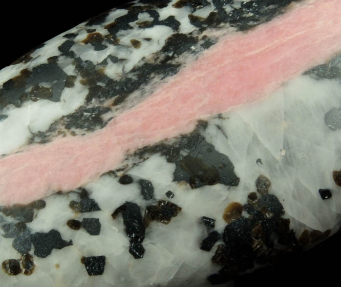 Rhodonite in Calcite-Franklinite (cabochon) from Franklin District, Sussex County, New Jersey (Type Locality for Franklinite)