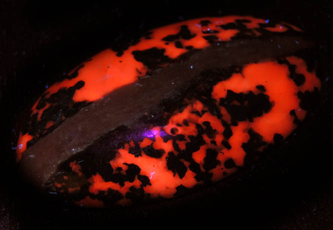 Rhodonite in Calcite-Franklinite (cabochon) from Franklin District, Sussex County, New Jersey (Type Locality for Franklinite)