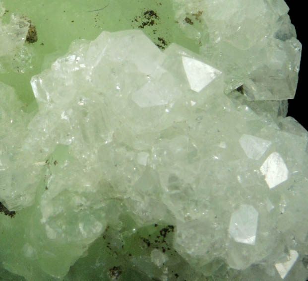 Apophyllite on Prehnite from Millington Quarry, Bernards Township, Somerset County, New Jersey