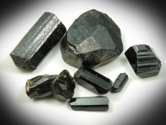 Schorl Tourmaline (set of seven terminated crystals) from Bald Mountain road cut, 9200' elevation, north of Idaho Springs, Clear Creek County, Colorado