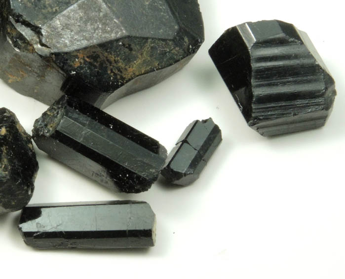 Schorl Tourmaline (set of seven terminated crystals) from Bald Mountain road cut, 9200' elevation, north of Idaho Springs, Clear Creek County, Colorado