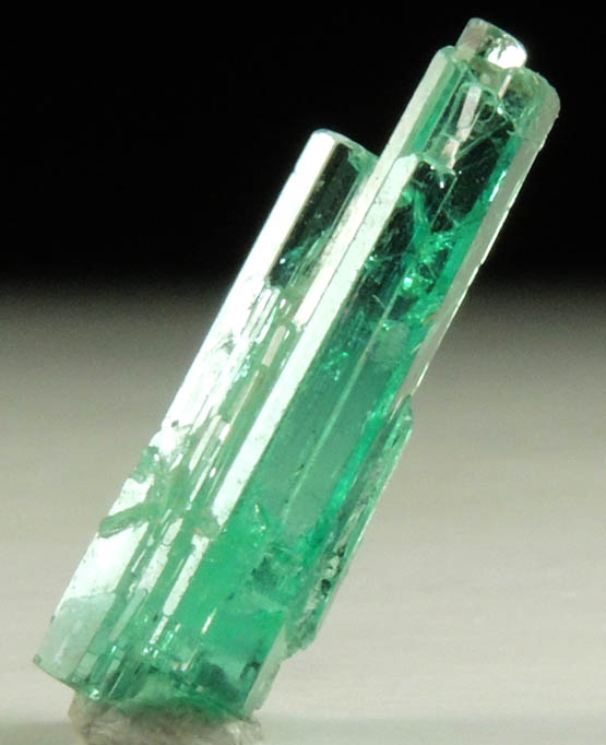 Beryl var. Emerald from Chivor Mine, Guavi-Guateque District, Boyac Department, Colombia