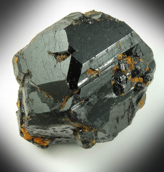 Dravite-Uvite Tourmaline from Bower Power's Farm, Pierrepont, St. Lawrence County, New York