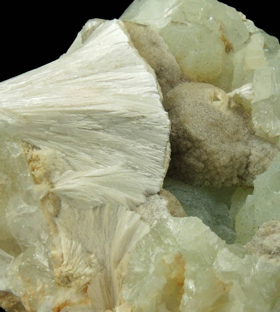 Pectolite, Prehnite, Datolite from Upper New Street Quarry, Paterson, Passaic County, New Jersey