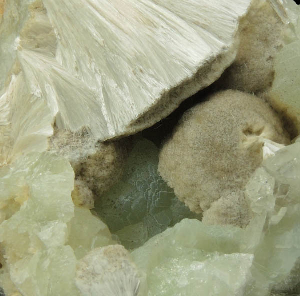 Pectolite, Prehnite, Datolite from Upper New Street Quarry, Paterson, Passaic County, New Jersey