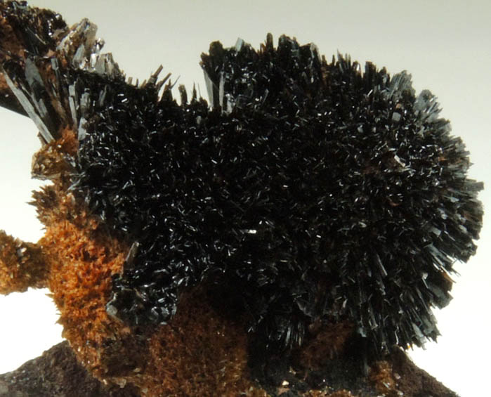 Goethite on Quartz from Lake George District, Park County, Colorado