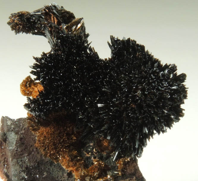 Goethite on Quartz from Lake George District, Park County, Colorado