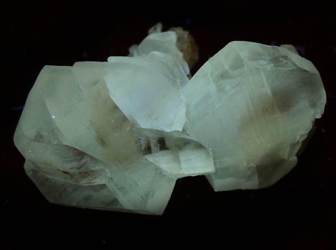 Gypsum var. Selenite from Willow Creek, Nanton, Alberta, Canada