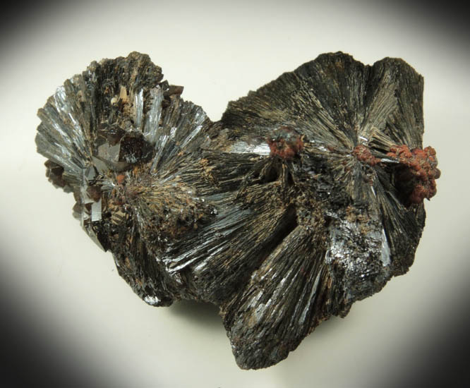 Goethite from Mile Hi Rock and Mineral Society (RAMS) Claim, Lake George District, Park County, Colorado
