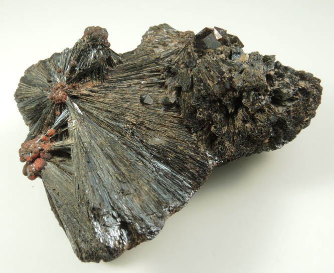 Goethite from Mile Hi Rock and Mineral Society (RAMS) Claim, Lake George District, Park County, Colorado