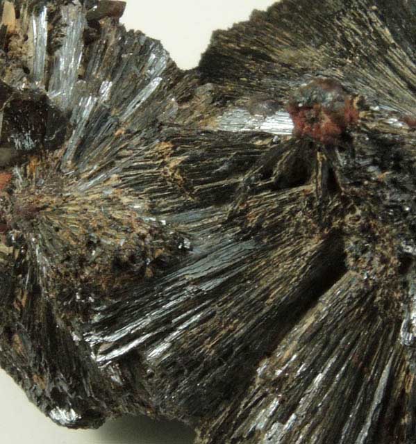 Goethite from Mile Hi Rock and Mineral Society (RAMS) Claim, Lake George District, Park County, Colorado