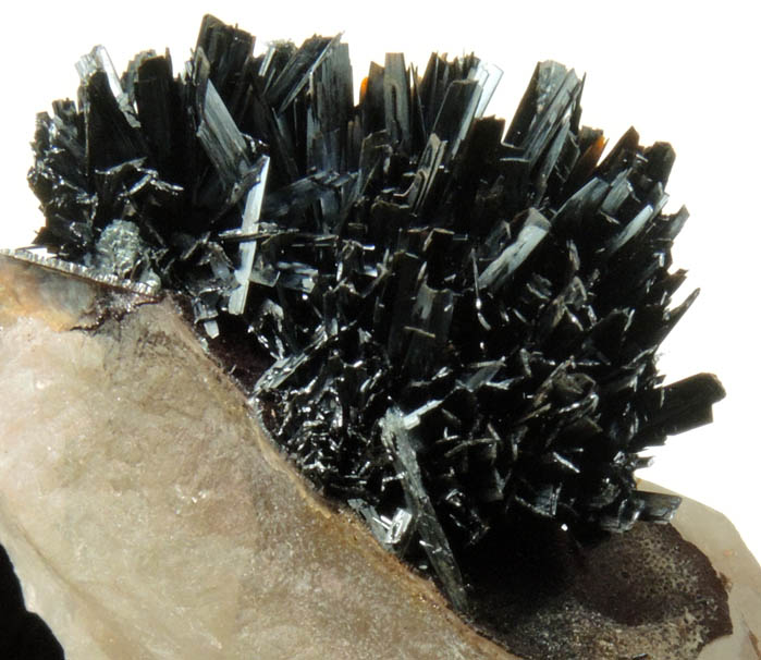 Goethite on Quartz from Lake George District, Park County, Colorado