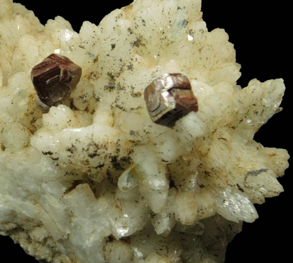 Pyrite and Apophyllite on Datolite from Millington Quarry, Bernards Township, Somerset County, New Jersey