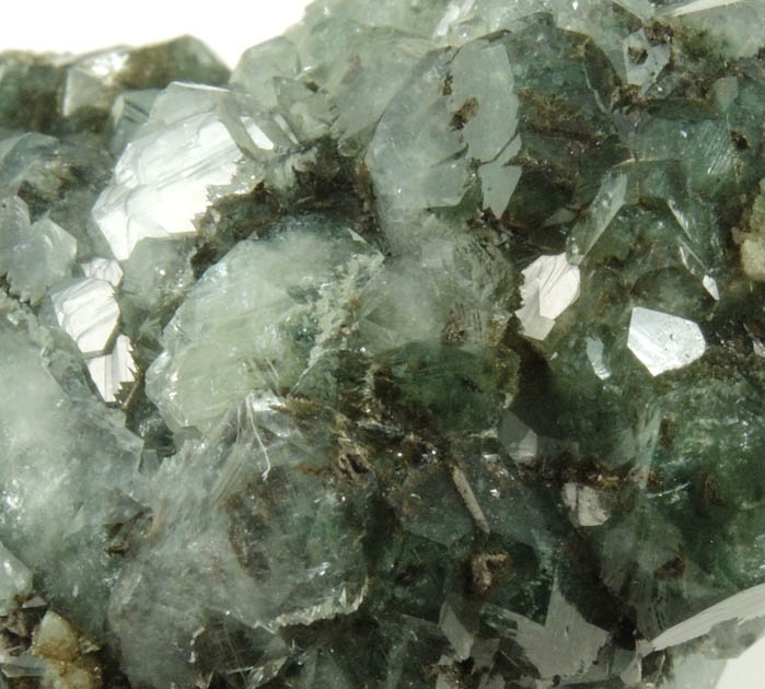 Apophyllite with Chlorite inclusions from Millington Quarry, Bernards Township, Somerset County, New Jersey