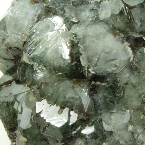 Apophyllite with Chlorite inclusions from Millington Quarry, Bernards Township, Somerset County, New Jersey