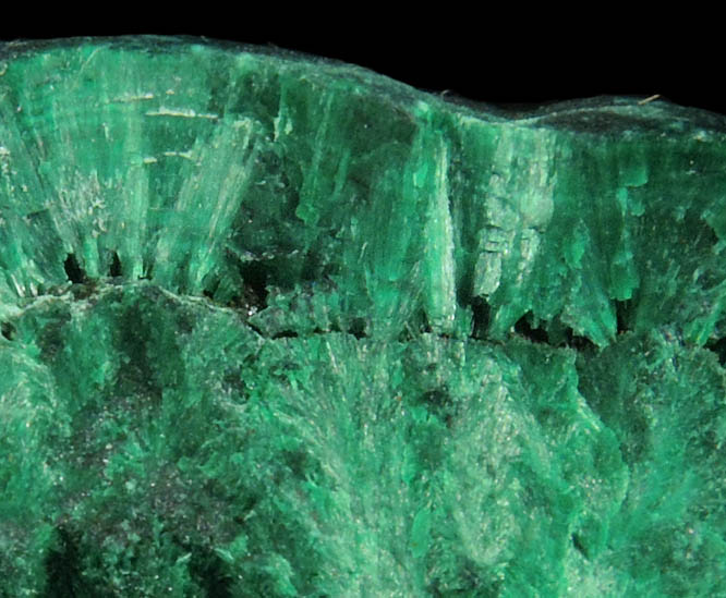 Malachite from Lavender Pit, Bisbee, Cochise County, Arizona