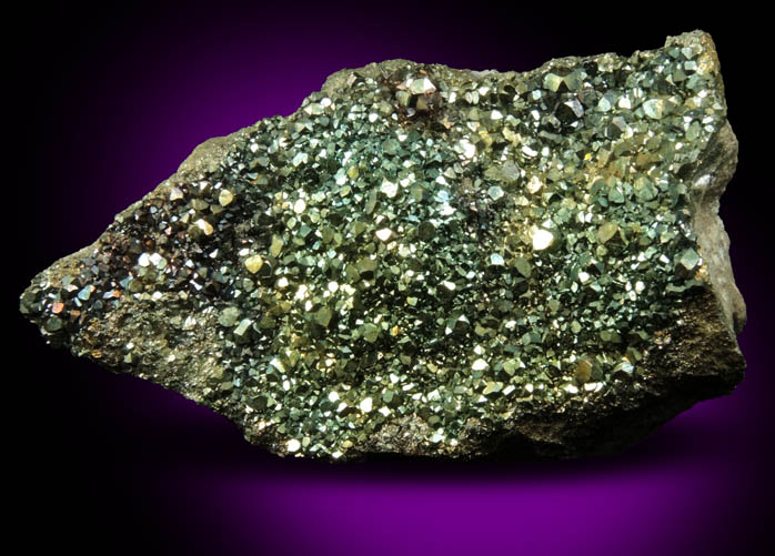 Pyrite (iridescent) from Pint's Quarry, Raymond, Black Hawk County, Iowa