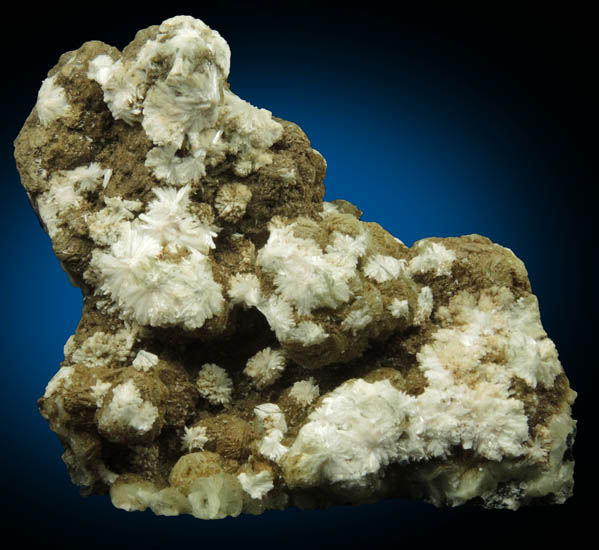 Natrolite and Stilpnomelane over Prehnite from Millington Quarry, Bernards Township, Somerset County, New Jersey