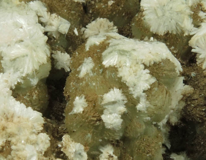 Natrolite and Stilpnomelane over Prehnite from Millington Quarry, Bernards Township, Somerset County, New Jersey