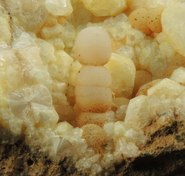 Thomsonite on Analcime from North Table Mountain, Stage 2 Lava Flow, Golden, Jefferson County, Colorado