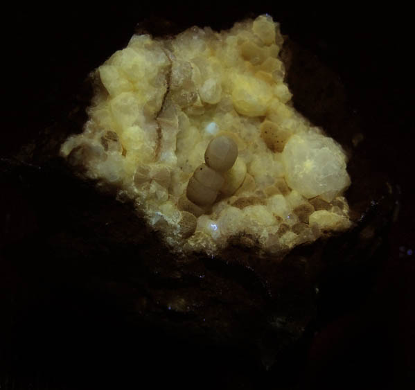 Thomsonite on Analcime from North Table Mountain, Stage 2 Lava Flow, Golden, Jefferson County, Colorado