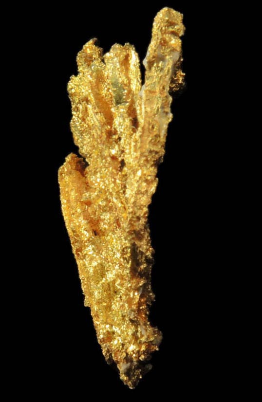 Gold from Coulterville-Mariposa region, Mother Lode Belt, Mariposa County, California