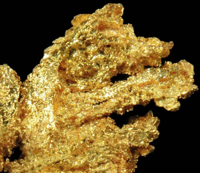 Gold from Coulterville-Mariposa region, Mother Lode Belt, Mariposa County, California