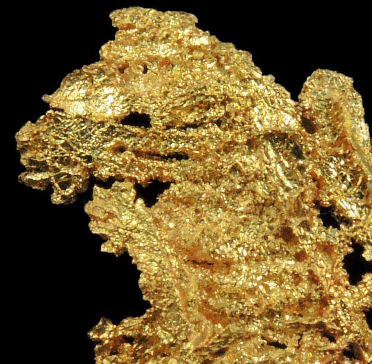 Gold from Coulterville-Mariposa region, Mother Lode Belt, Mariposa County, California