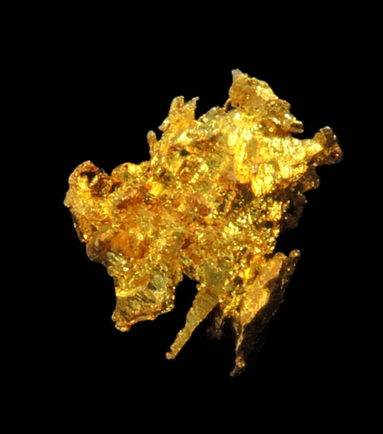 Gold from Diltz Mine, Bear Valley, Whitlock District, Mariposa County, California