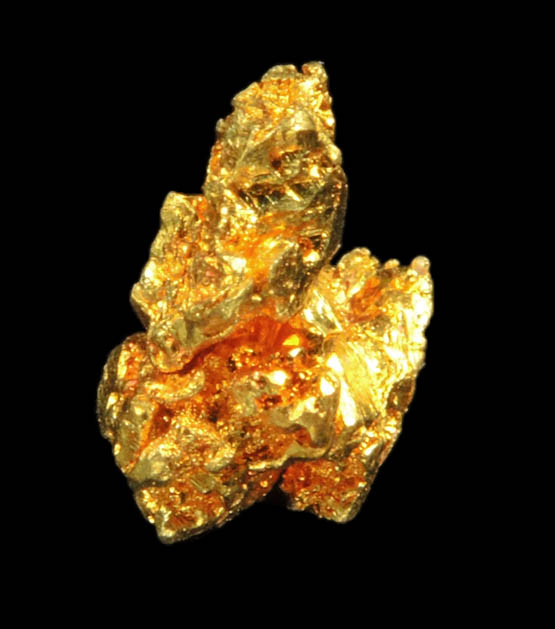 Gold from Diltz Mine, Bear Valley, Whitlock District, Mariposa County, California