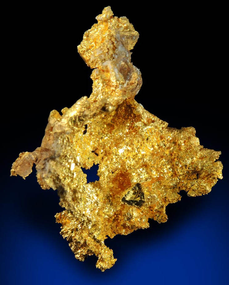 Gold from Coulterville-Mariposa region, Mother Lode Belt, Mariposa County, California