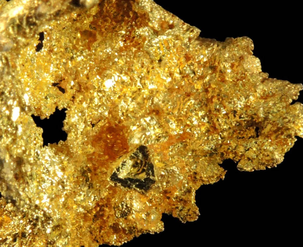 Gold from Coulterville-Mariposa region, Mother Lode Belt, Mariposa County, California