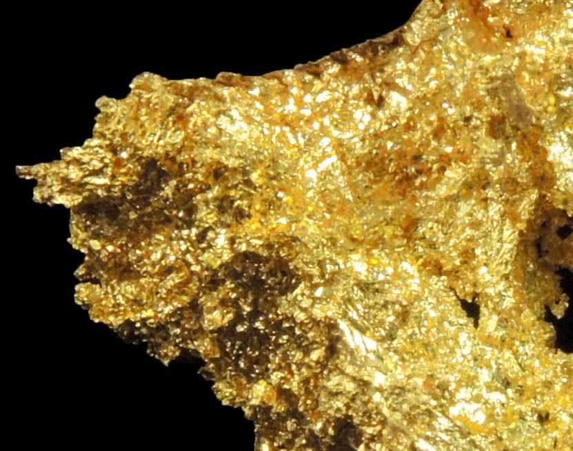 Gold from Coulterville-Mariposa region, Mother Lode Belt, Mariposa County, California