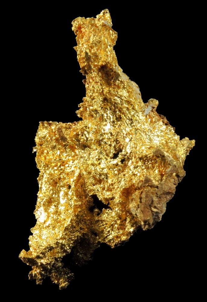 Gold from Coulterville-Mariposa region, Mother Lode Belt, Mariposa County, California