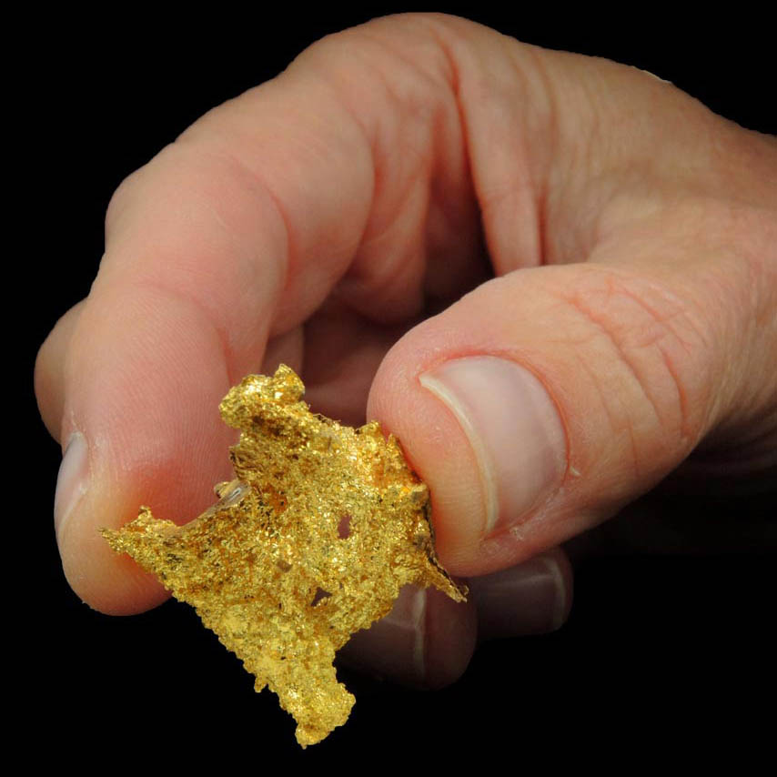 Gold from Coulterville-Mariposa region, Mother Lode Belt, Mariposa County, California